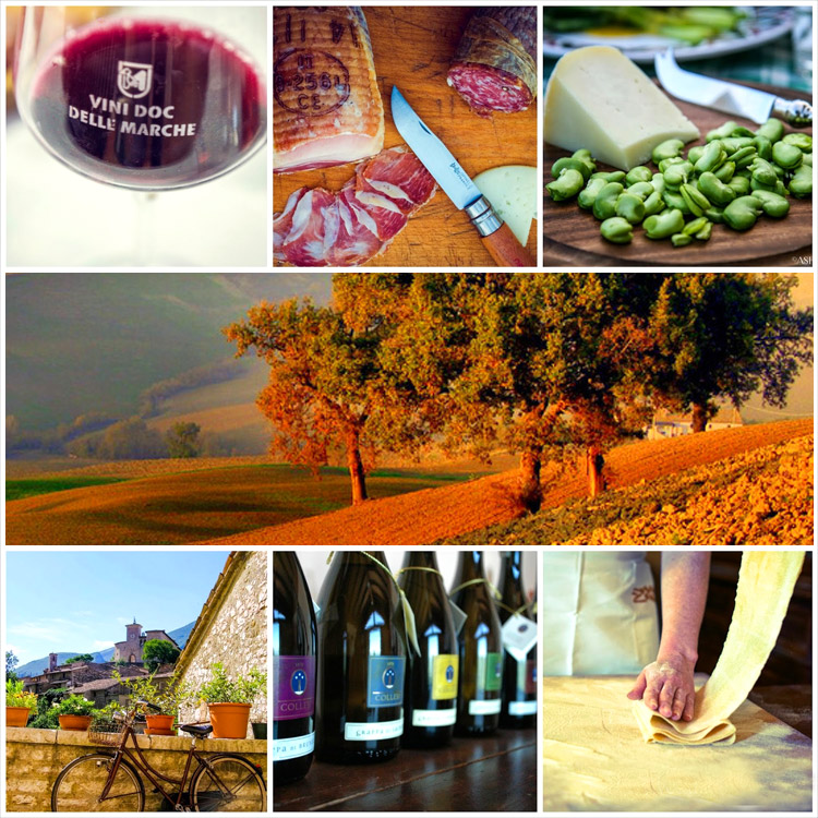 Proverbi marchigiani